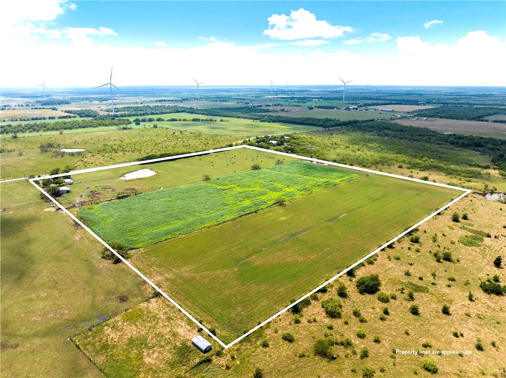 44+/- Ac. Fm 339 Road, Mount Calm, Texas image 38