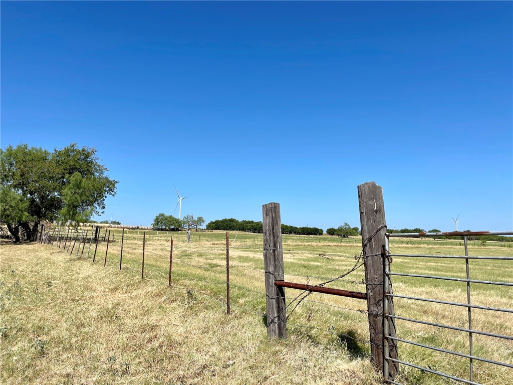 44+/- Ac. Fm 339 Road, Mount Calm, Texas image 18