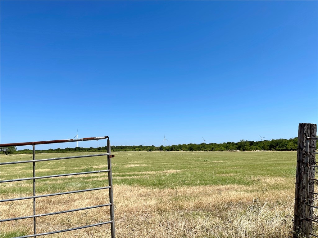 44+/- Ac. Fm 339 Road, Mount Calm, Texas image 17