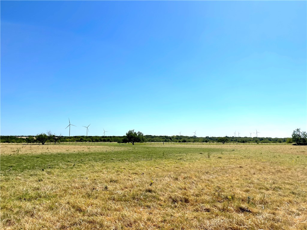 44+/- Ac. Fm 339 Road, Mount Calm, Texas image 25