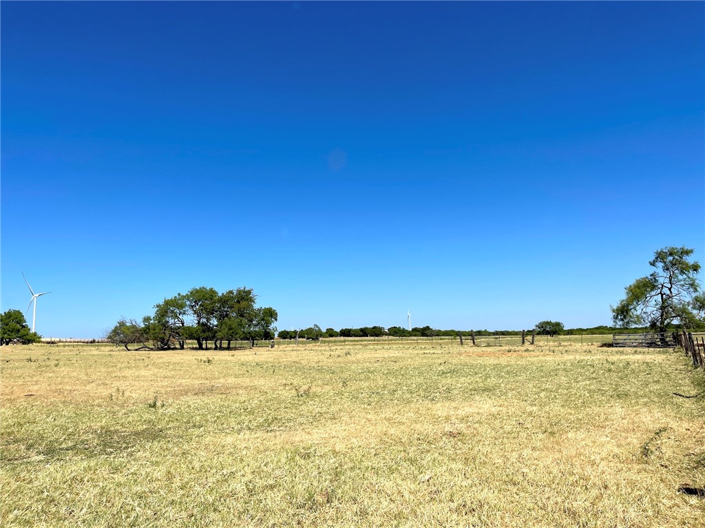 44+/- Ac. Fm 339 Road, Mount Calm, Texas image 27