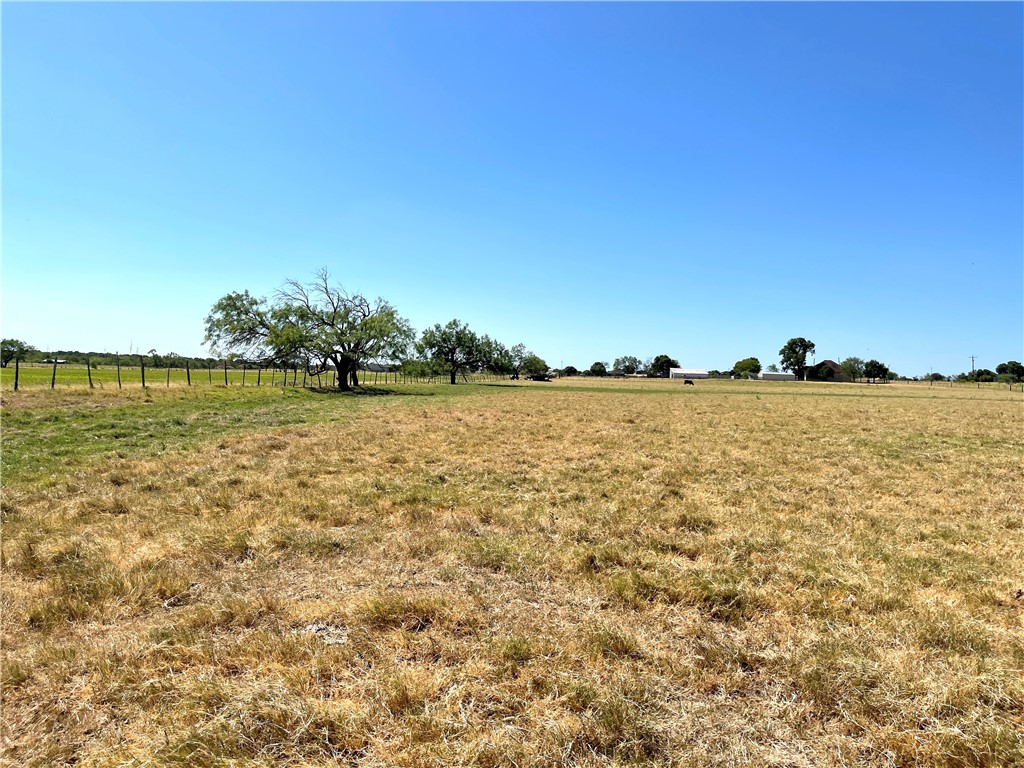 44+/- Ac. Fm 339 Road, Mount Calm, Texas image 26