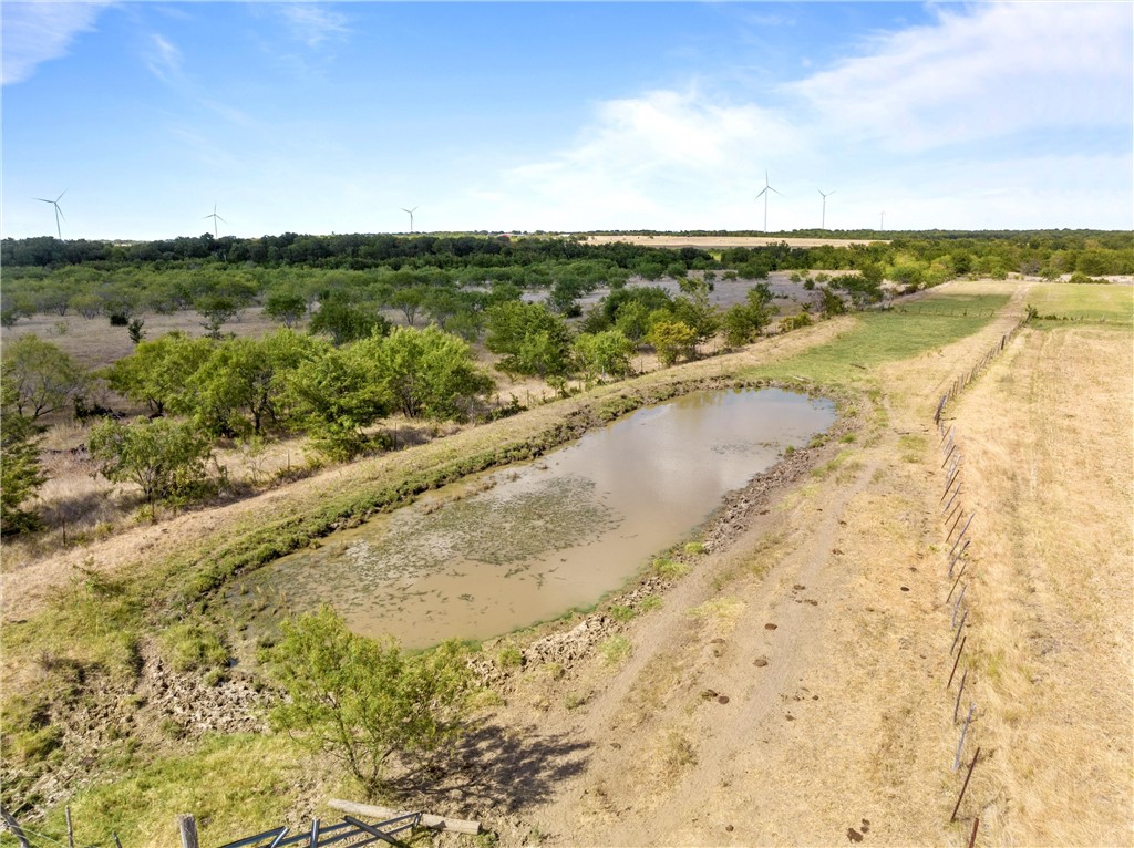 44+/- Ac. Fm 339 Road, Mount Calm, Texas image 10