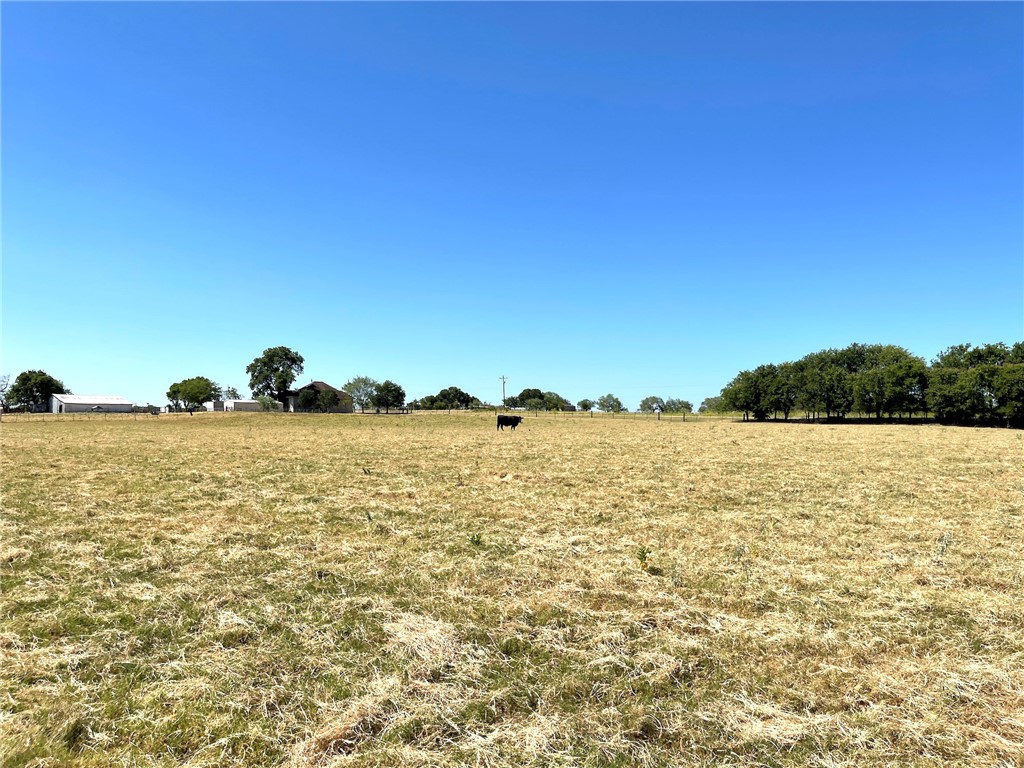 44+/- Ac. Fm 339 Road, Mount Calm, Texas image 28