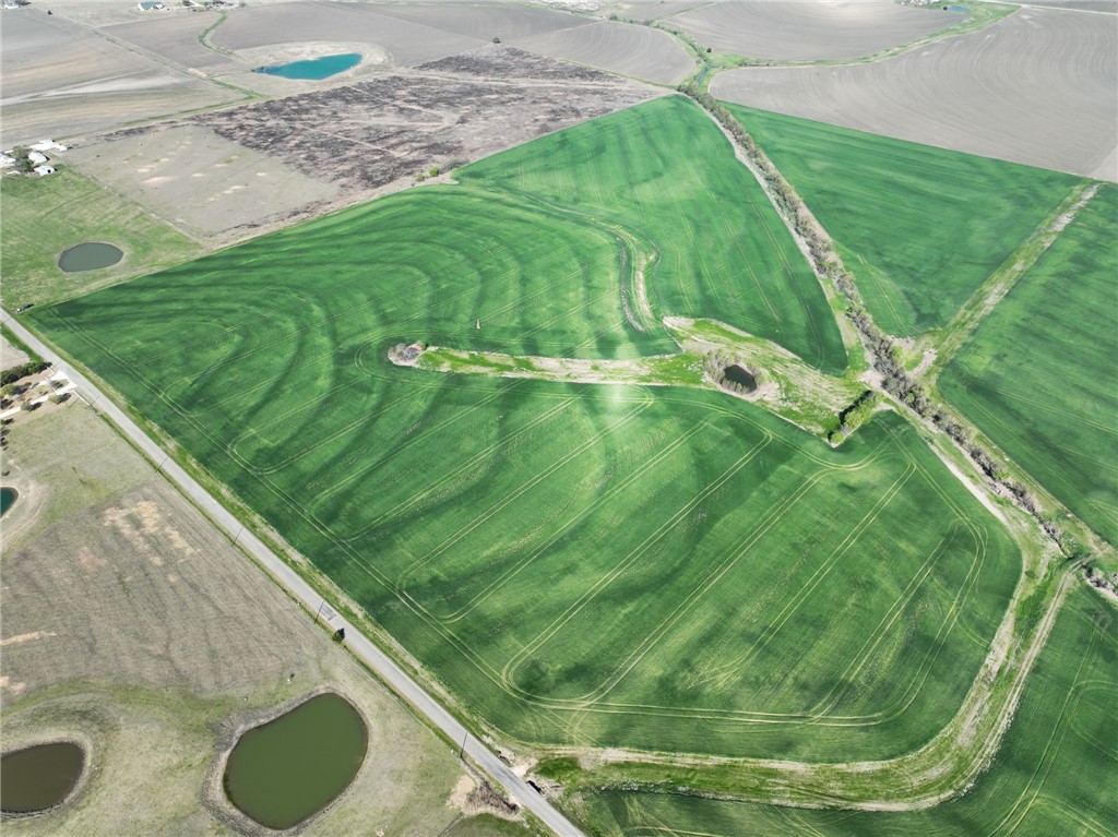 100 Ac. +/- Mechell Road, West, Texas image 3