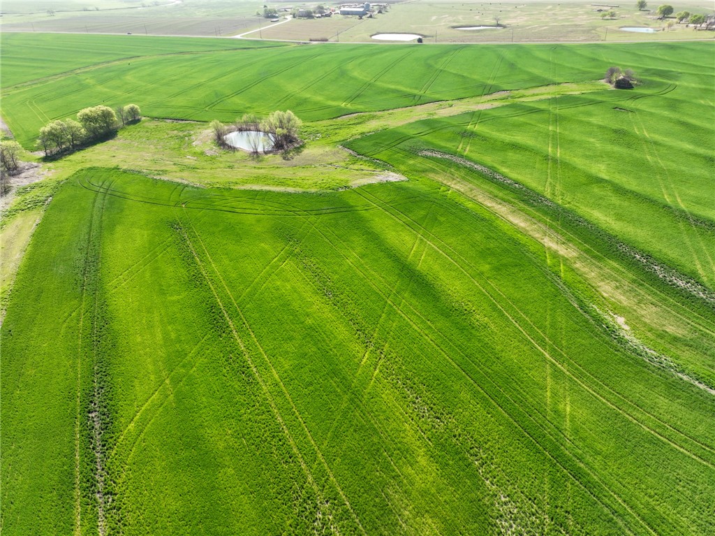 100 Ac. +/- Mechell Road, West, Texas image 9