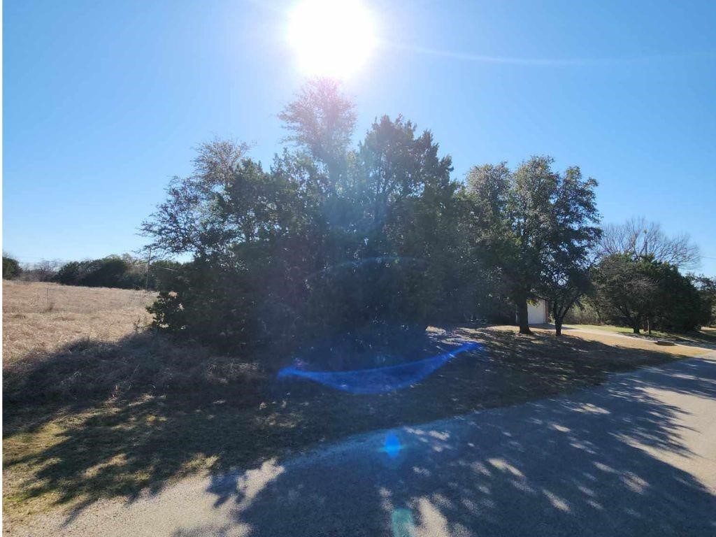 7124 Cedar Valley Drive, Whitney, Texas image 3