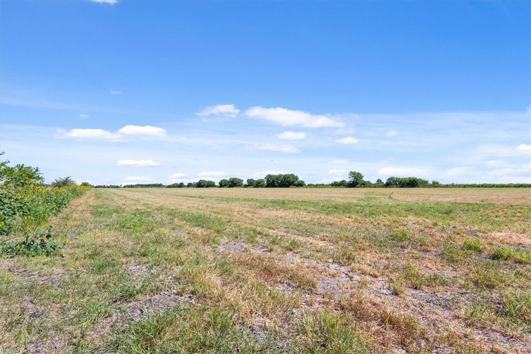 TBD Fm 1240, Marlin, Texas image 9