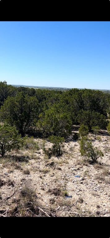 TBD Cr 1191, Kopperl, Texas image 8