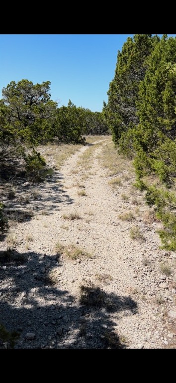 TBD Cr 1191, Kopperl, Texas image 5