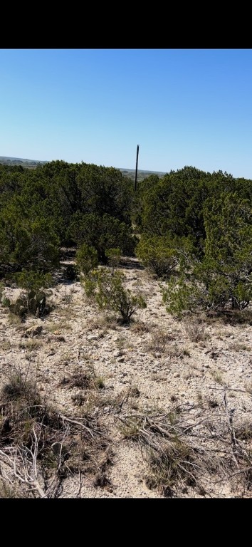 TBD Cr 1191, Kopperl, Texas image 6