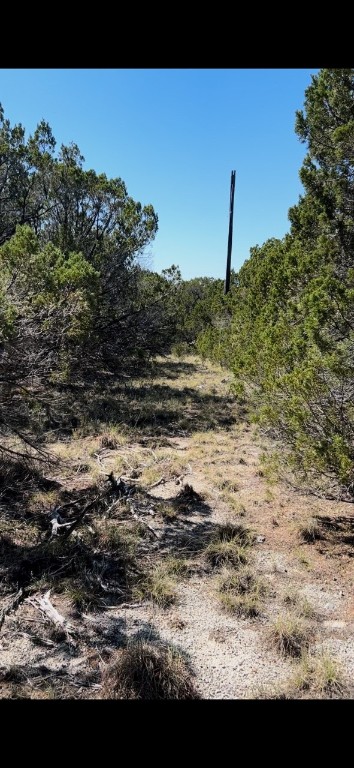 TBD Cr 1191, Kopperl, Texas image 7