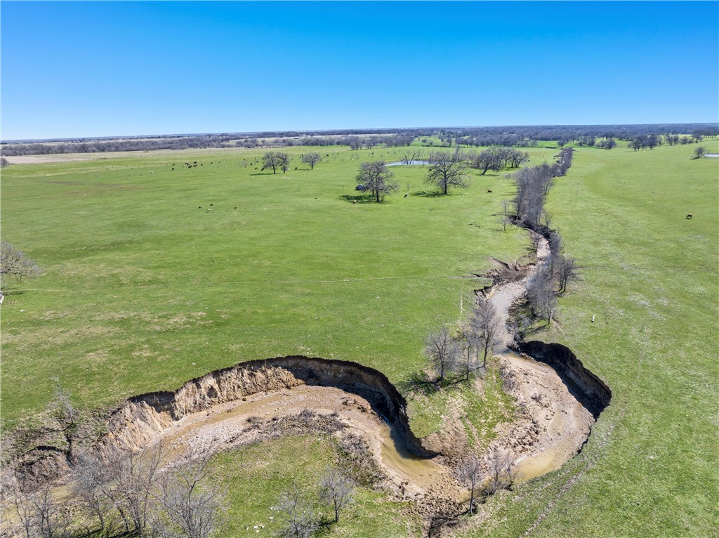 295 Bode Road, Elm Mott, Texas image 4