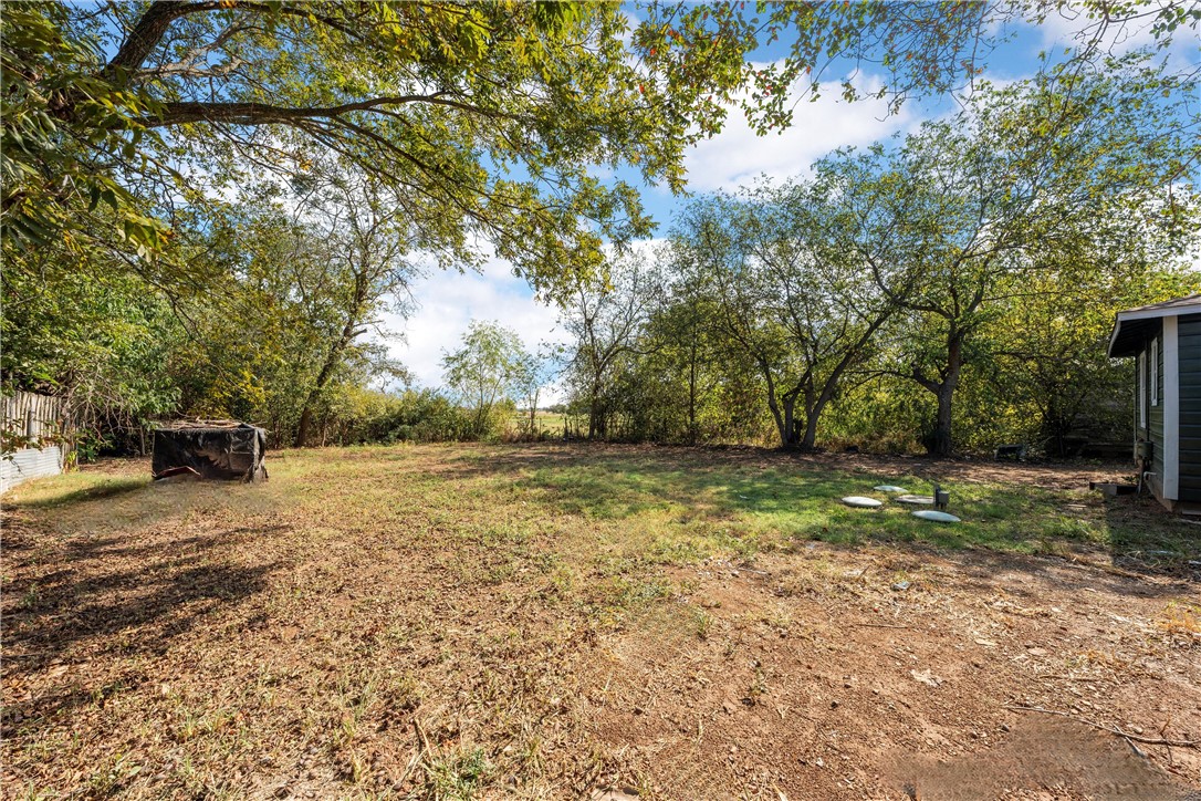 12932 Old Dallas Road, West, Texas image 15