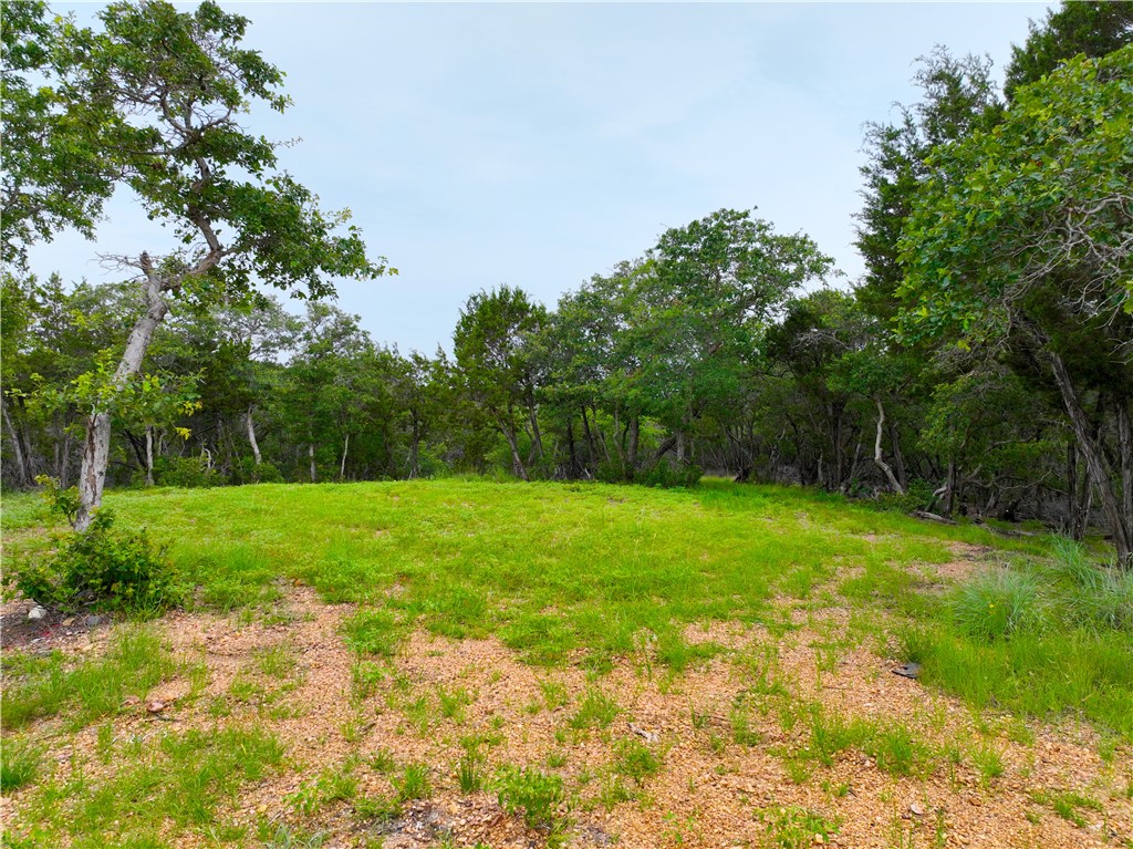 0000 County Road 1409 Road, Morgan, Texas image 7