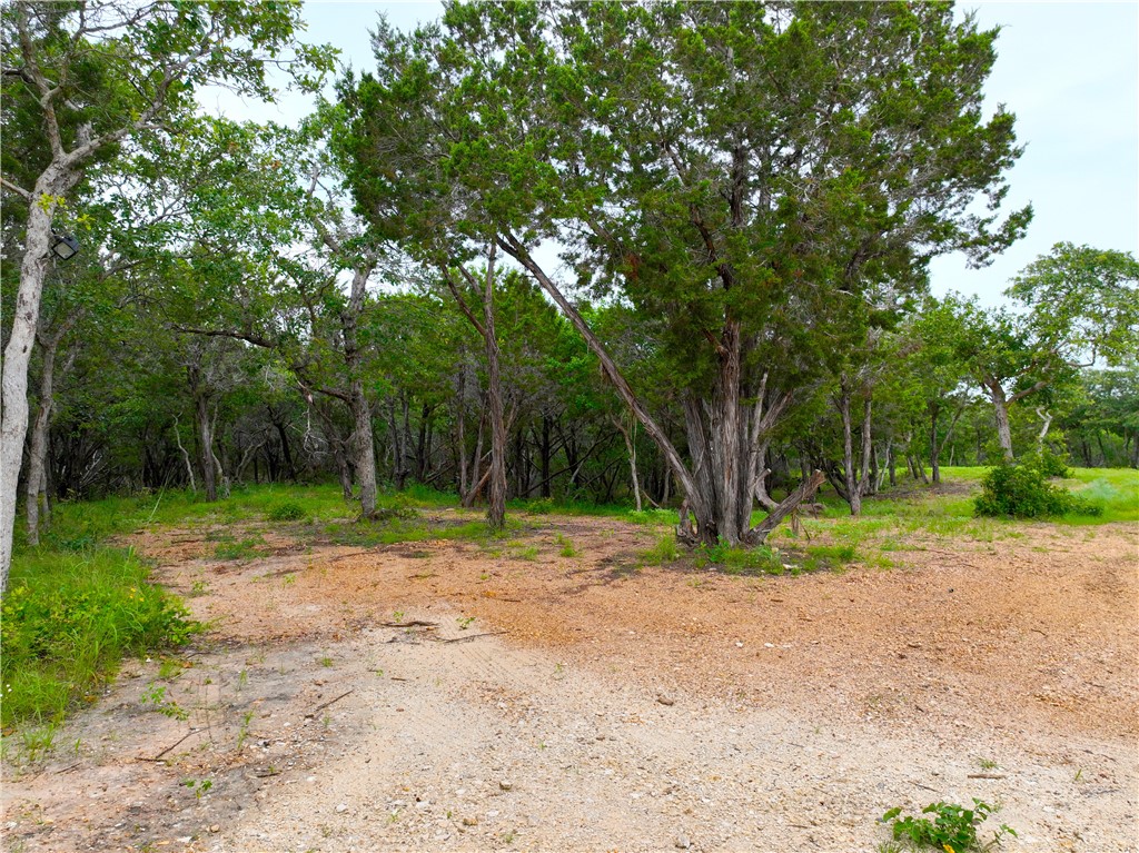 0000 County Road 1409 Road, Morgan, Texas image 4