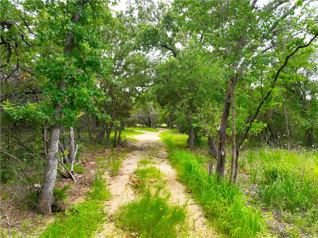 0000 County Road 1409 Road, Morgan, Texas image 9