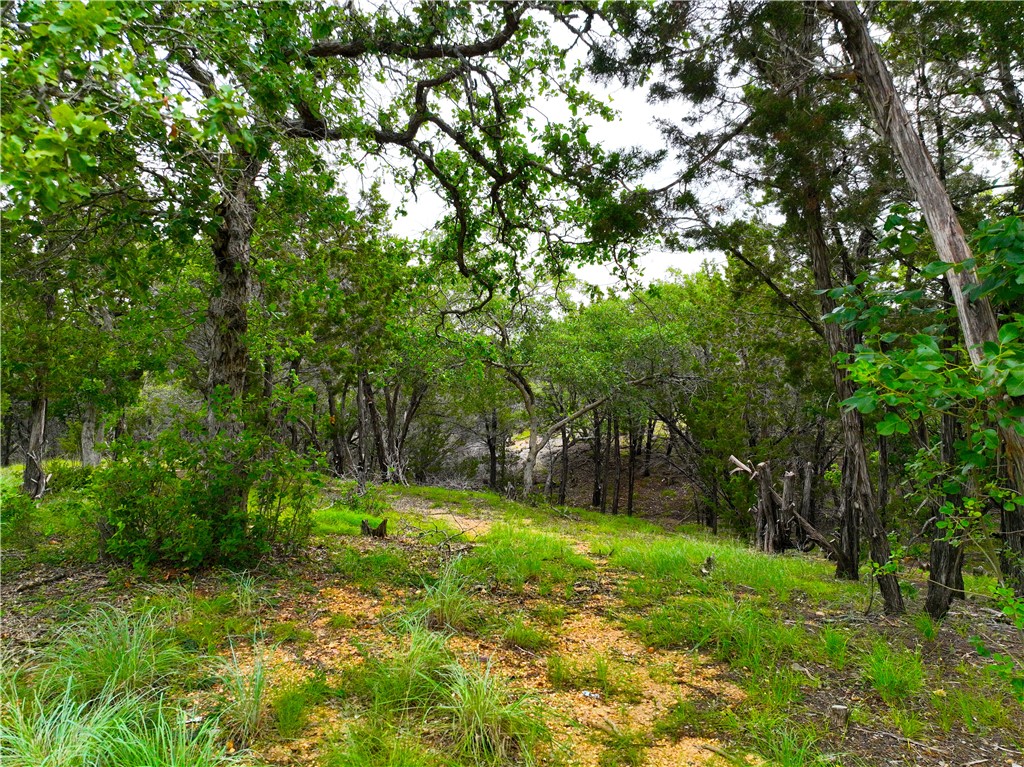 0000 County Road 1409 Road, Morgan, Texas image 6