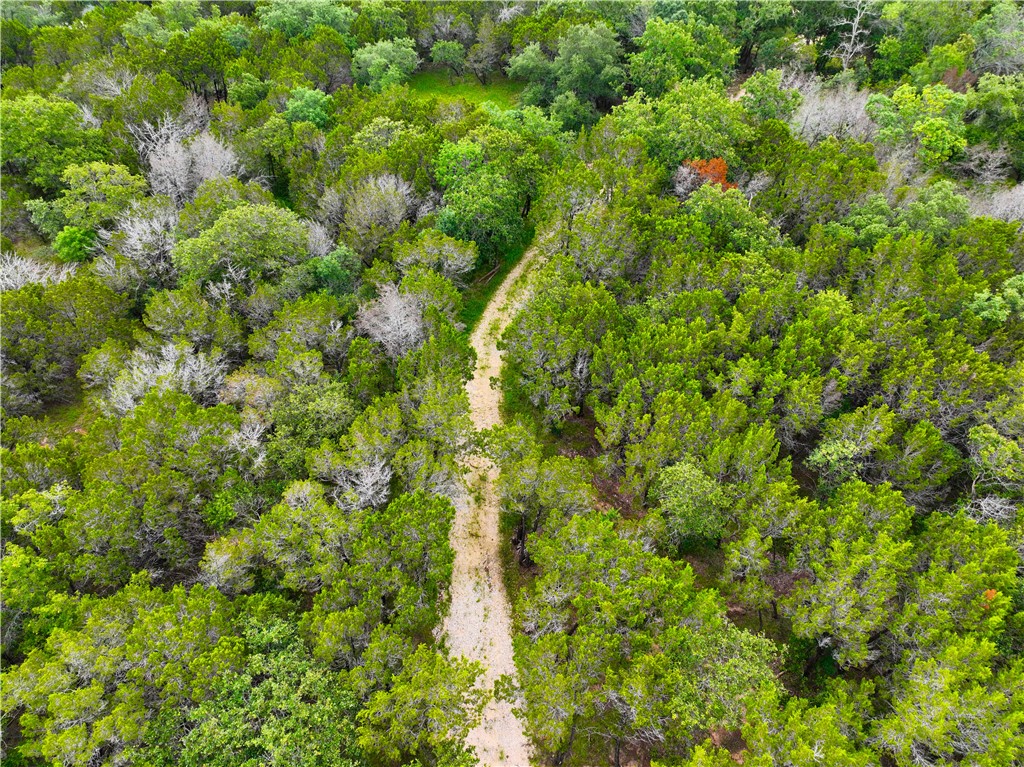 0000 County Road 1409 Road, Morgan, Texas image 10