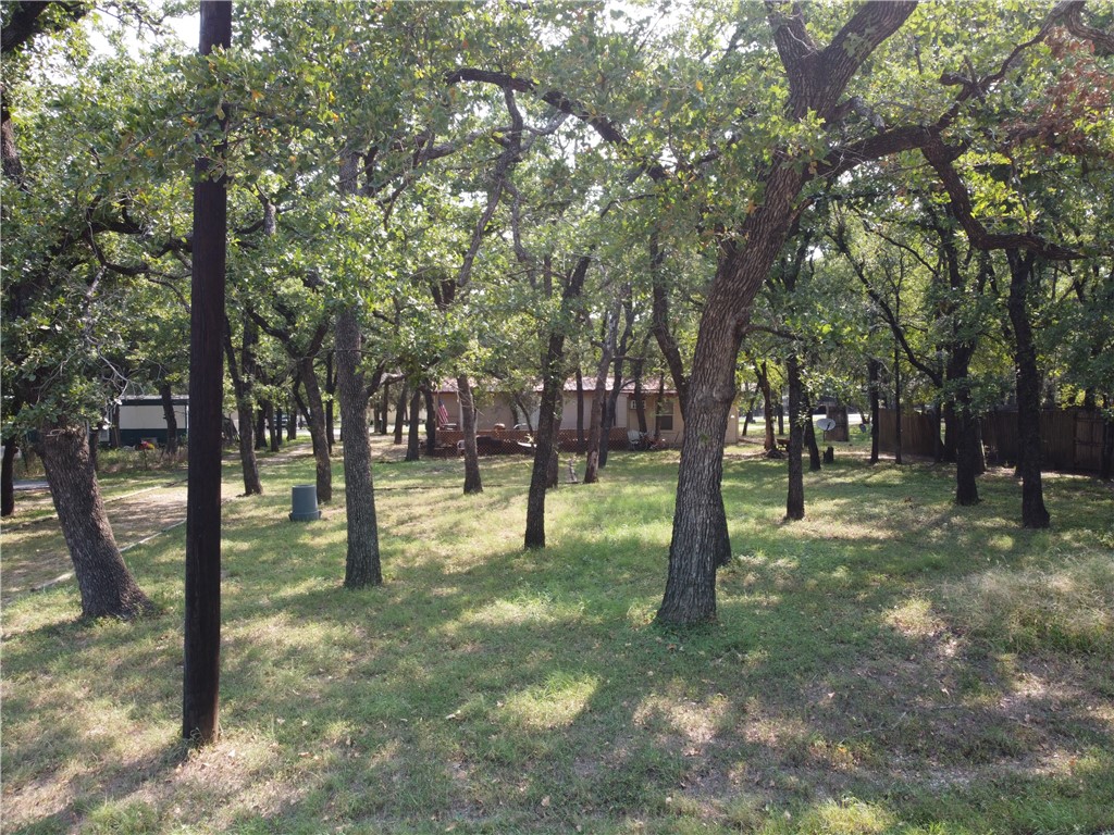 123 Cottontail Trail, Whitney, Texas image 22