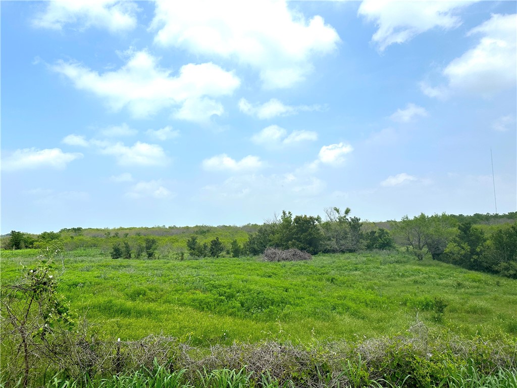 Tract 3 Spring Valley Road, Moody, Texas image 21