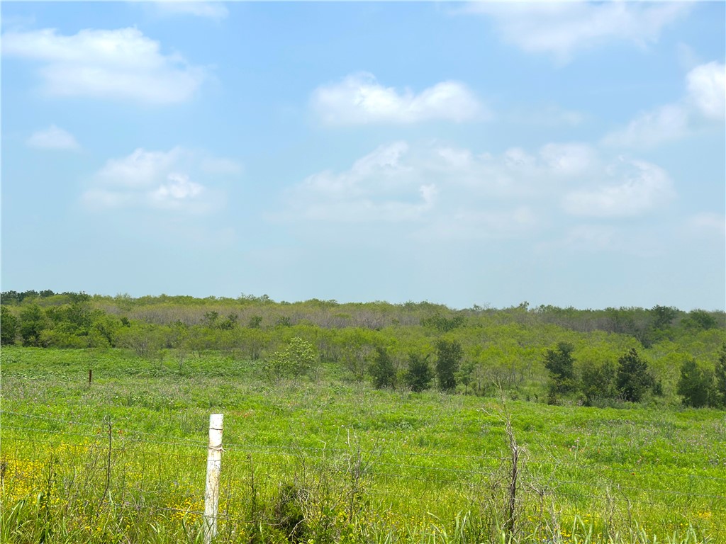 Tract 3 Spring Valley Road, Moody, Texas image 14