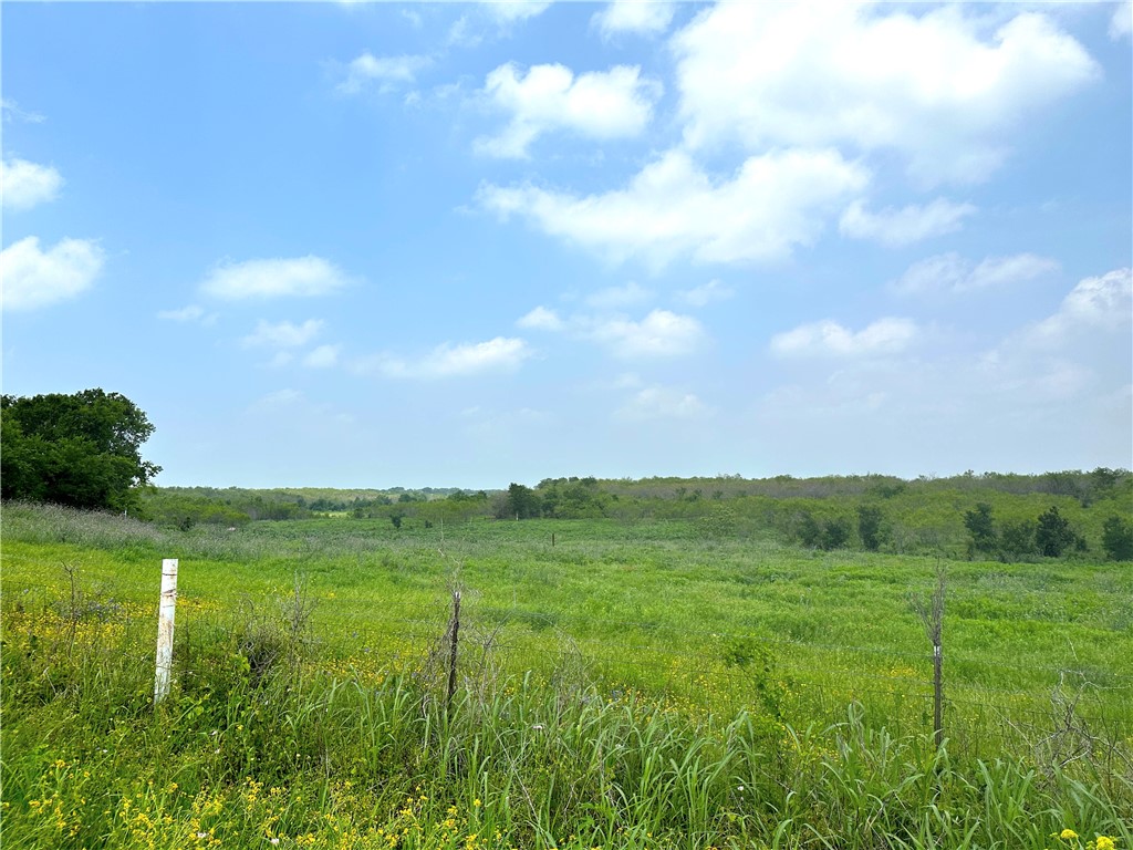 Tract 3 Spring Valley Road, Moody, Texas image 18