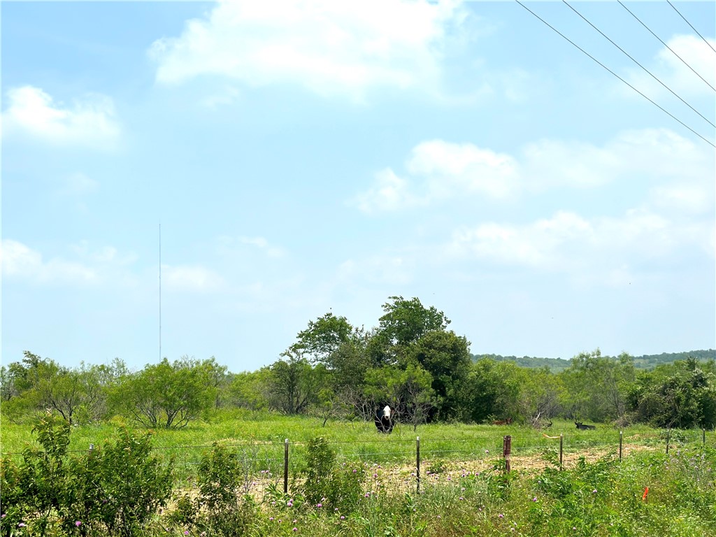 Tract 3 Spring Valley Road, Moody, Texas image 9