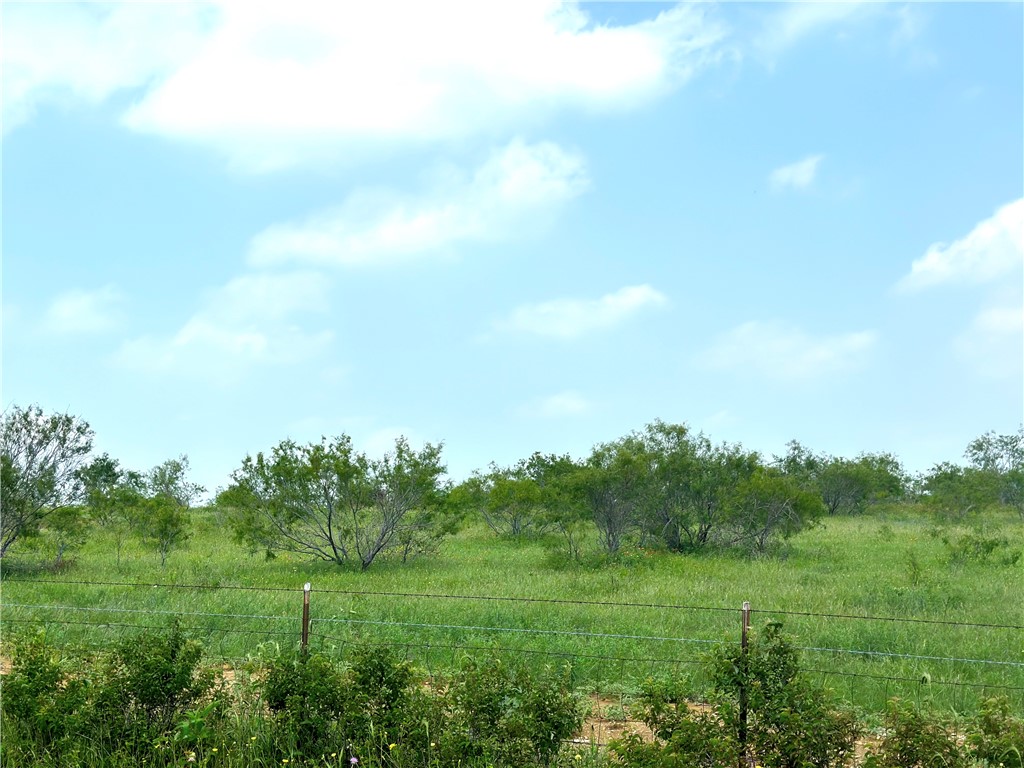 Tract 3 Spring Valley Road, Moody, Texas image 13