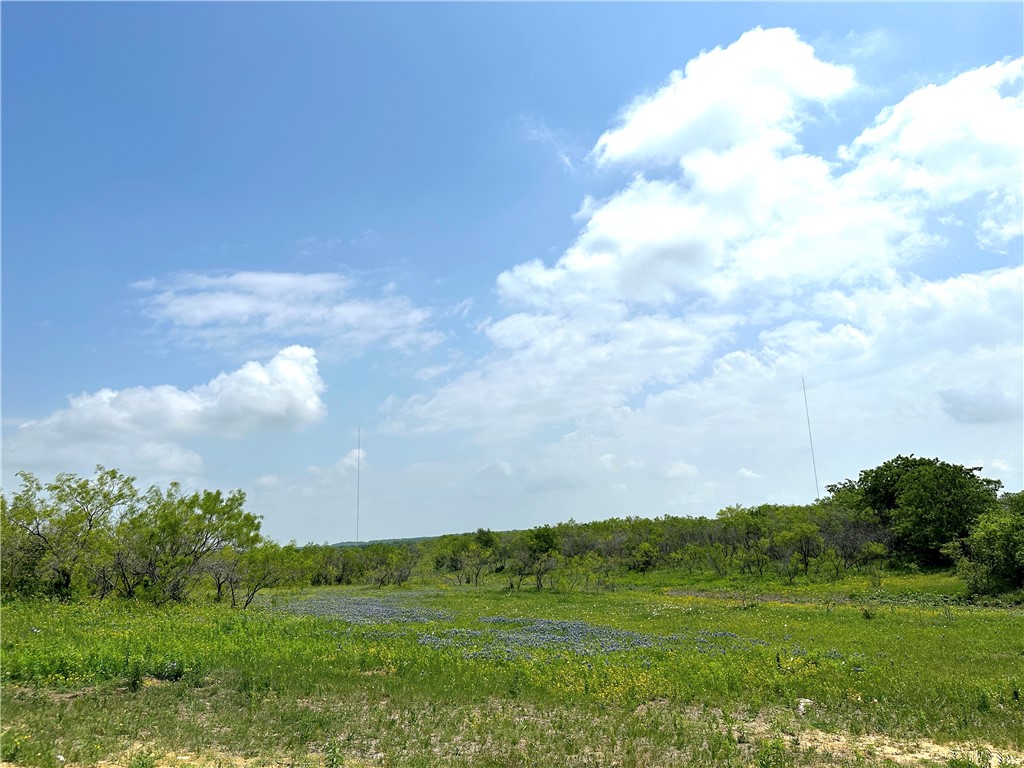 Tract 3 Spring Valley Road, Moody, Texas image 24