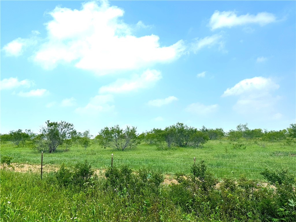 Tract 3 Spring Valley Road, Moody, Texas image 19