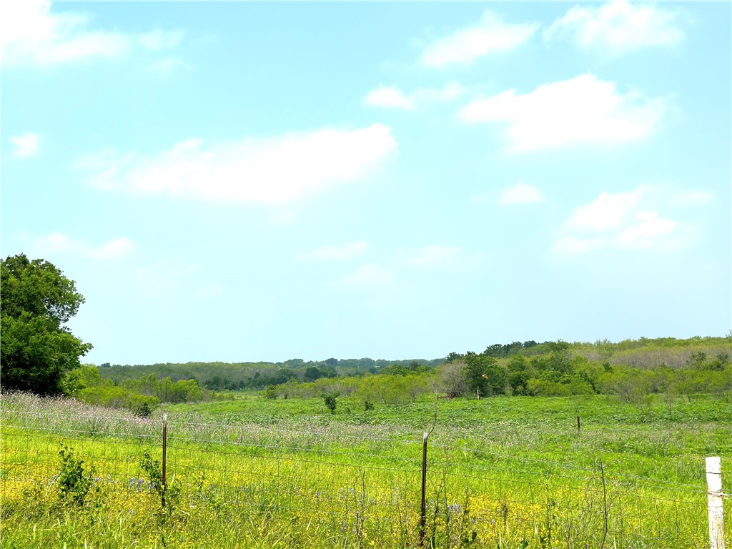 Tract 3 Spring Valley Road, Moody, Texas image 17