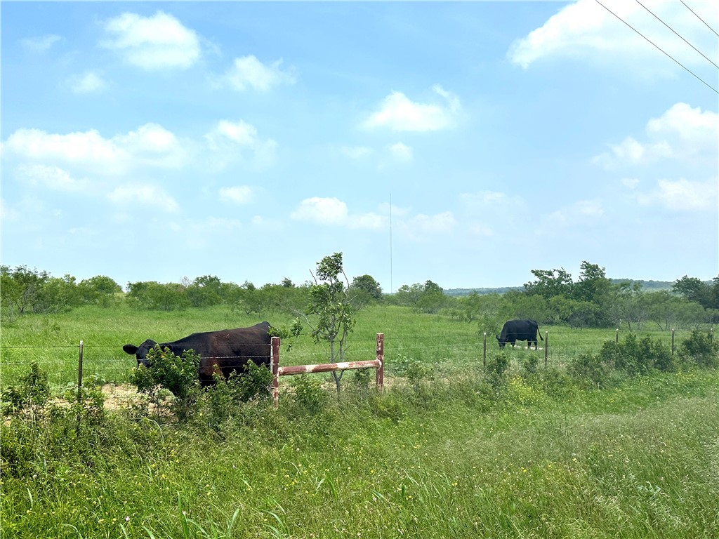 Tract 3 Spring Valley Road, Moody, Texas image 10