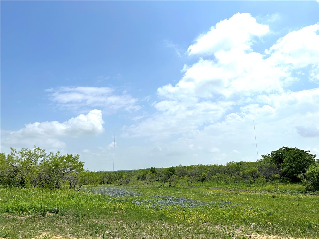 Tract 3 Spring Valley Road, Moody, Texas image 23