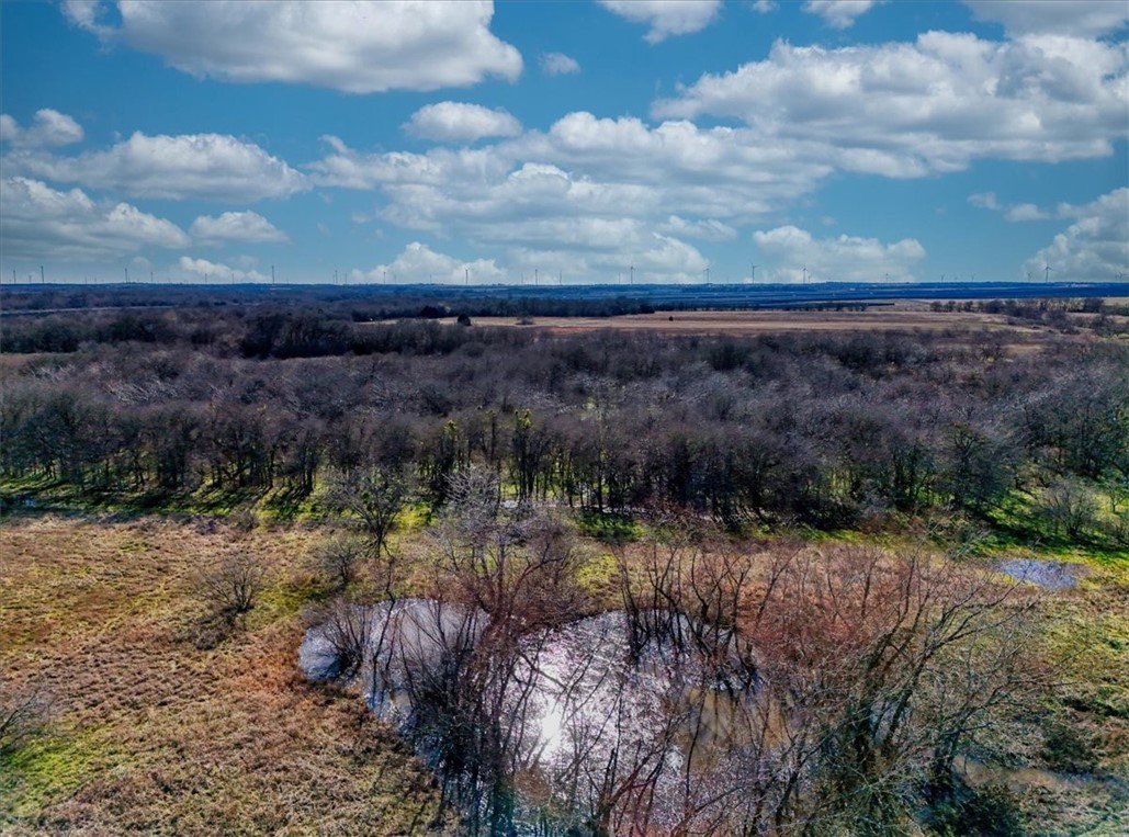 1347 Lcr 152, Mount Calm, Texas image 13