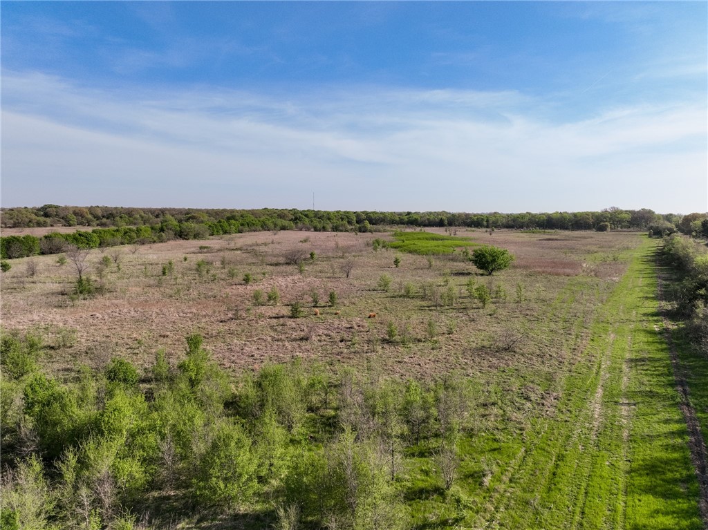 50 Ac. +/- Brickyard Road, West, Texas image 3