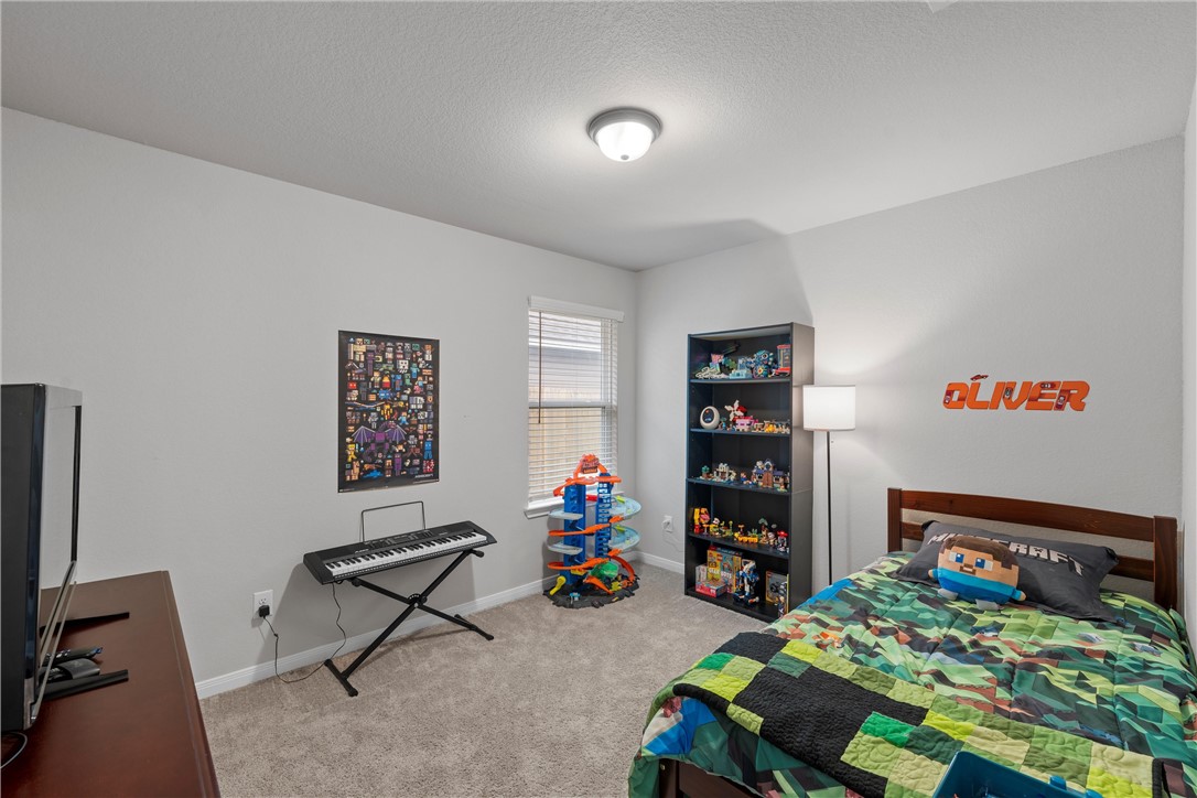 11220 Pallasite Court, Lorena, Texas image 19