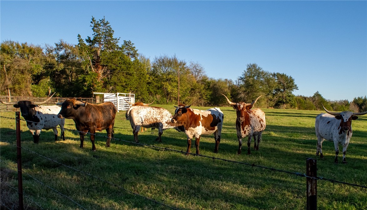 2172 SE Cr 2320, Streetman, Texas image 43