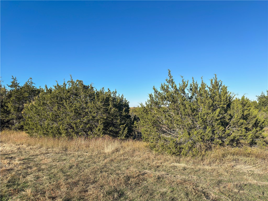 TBD Tract 3 Talbert Ranch Road, China Spring, Texas image 14