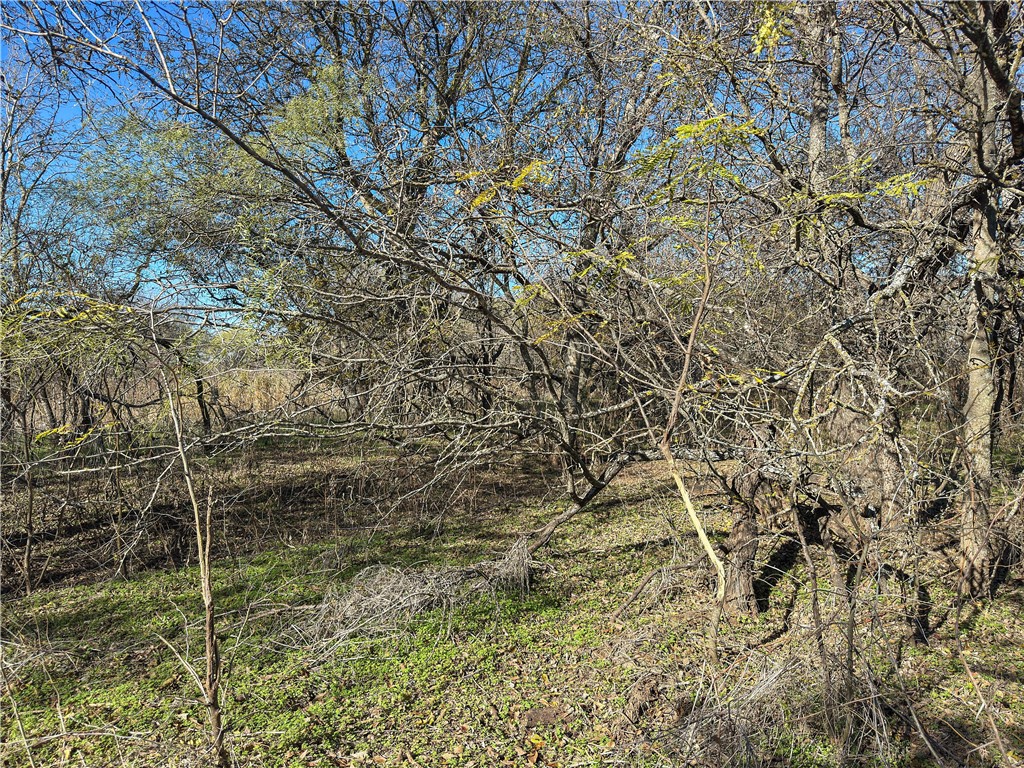 TBD Tract 3 Talbert Ranch Road, China Spring, Texas image 23