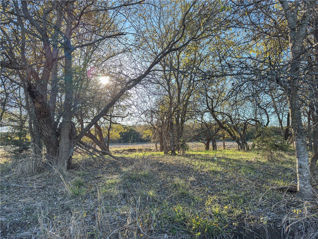 TBD Tract 3 Talbert Ranch Road, China Spring, Texas image 16