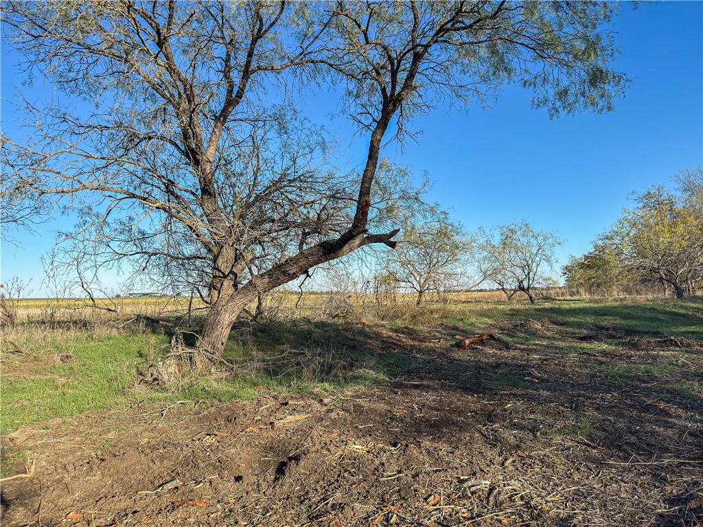 TBD Tract 3 Talbert Ranch Road, China Spring, Texas image 17