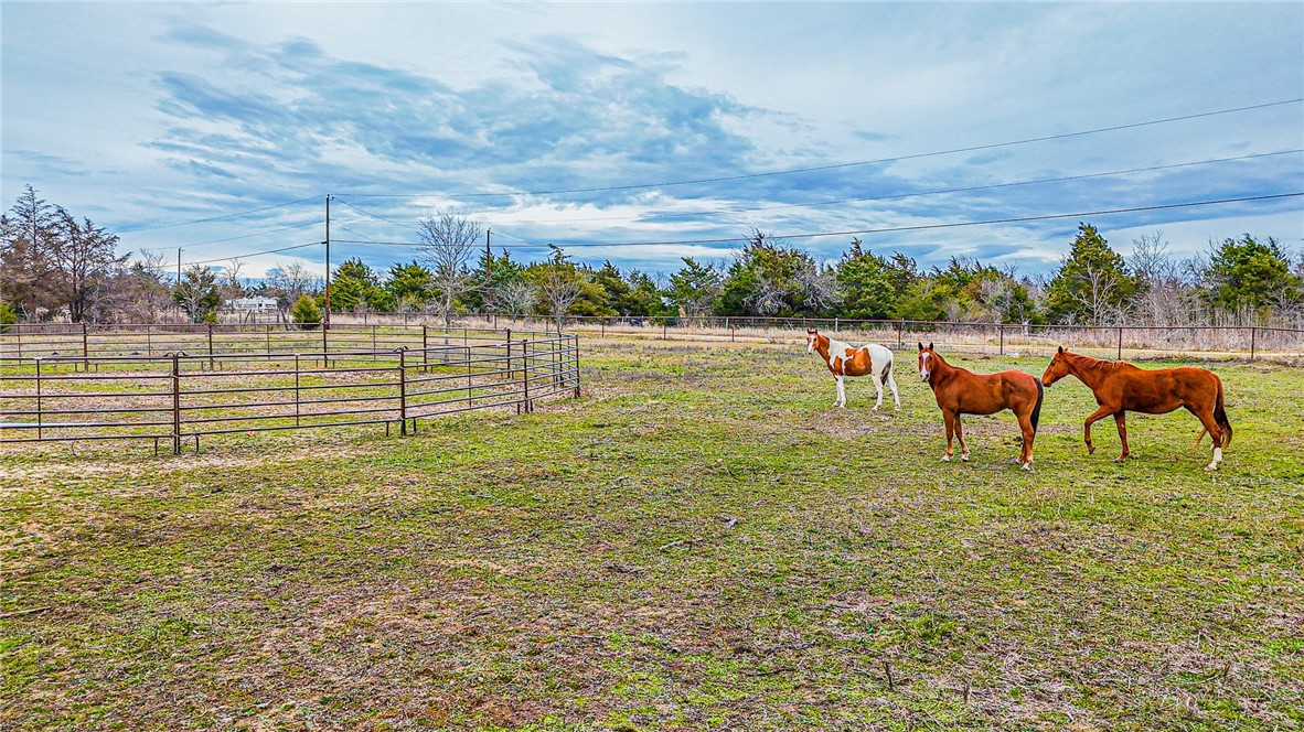 268 Pr 5460 Road, Mexia, Texas image 36