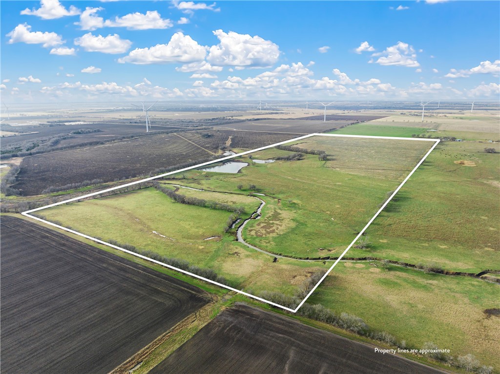 TBD Lcr 306 Road, Mart, Texas image 15