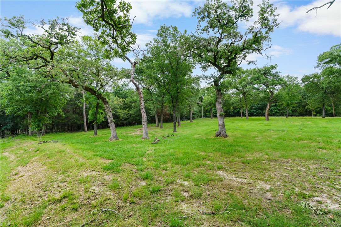 267 Lcr 902, Jewett, Texas image 36