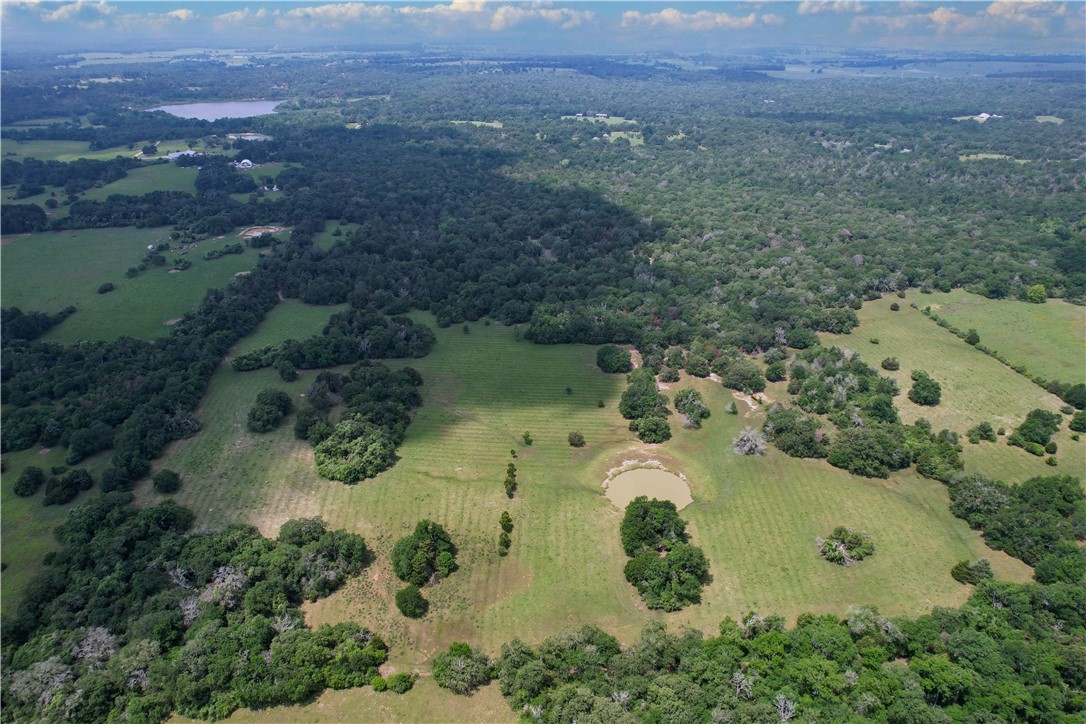 3819 Stidham Lane, Franklin, Texas image 7