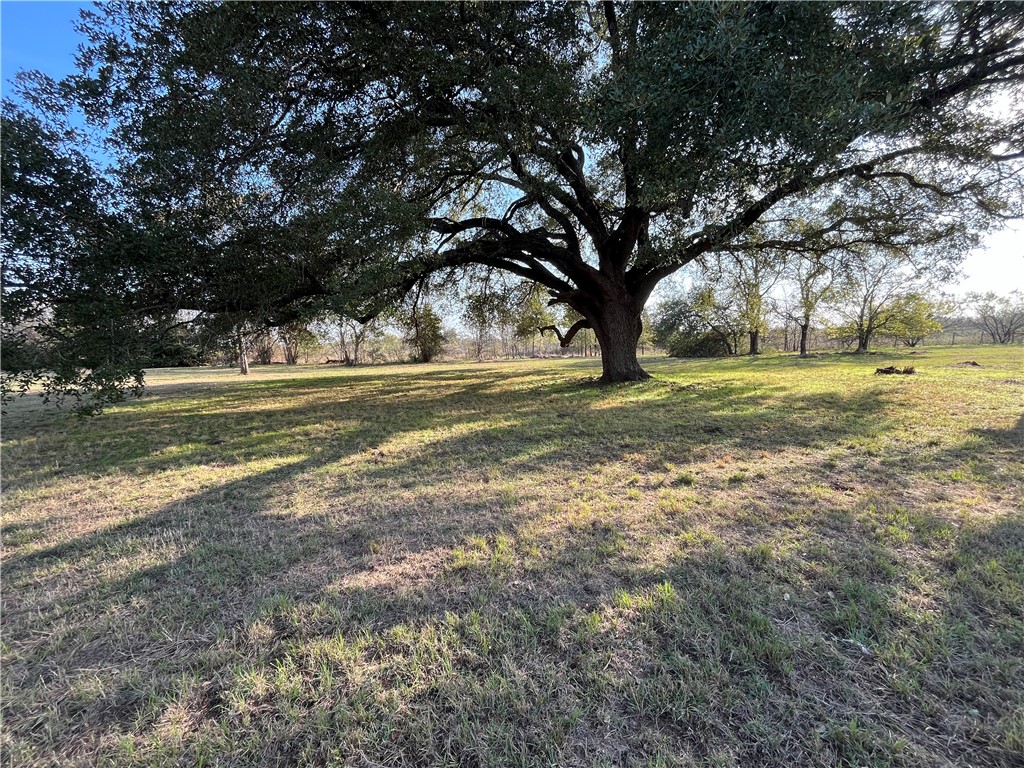 1934 Us Hwy 84 Highway, Mexia, Texas image 39