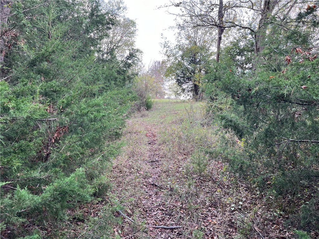 1934 Us Hwy 84 Highway, Mexia, Texas image 47