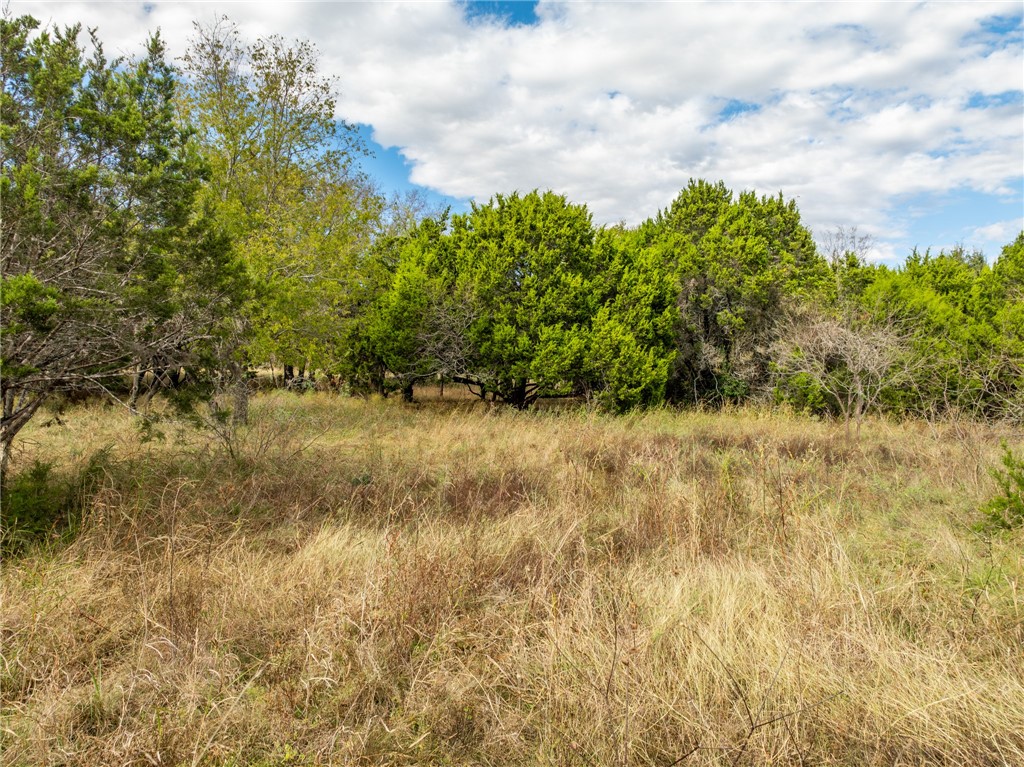 38063 Brookside Drive, Whitney, Texas image 8