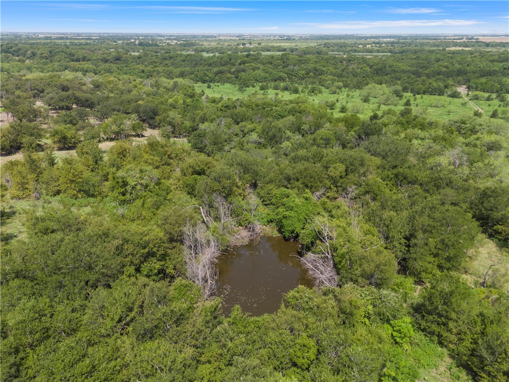 TBD Hcr 3255, Mount Calm, Texas image 9